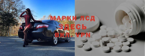 стаф Россошь