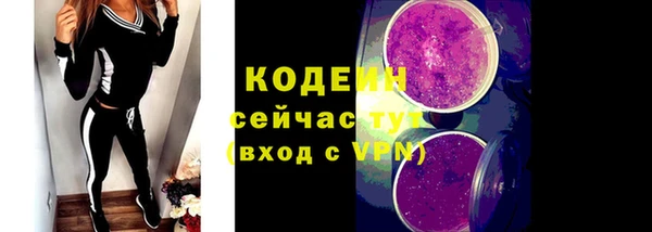 дурь Сатка