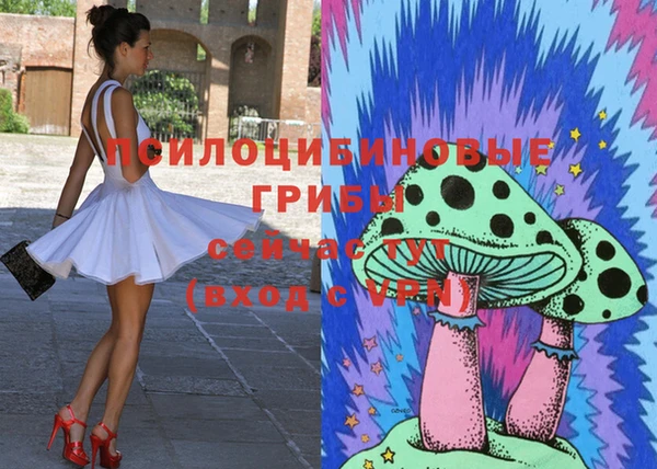 стаф Россошь
