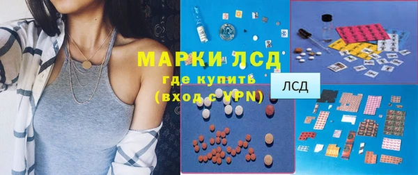 стаф Россошь