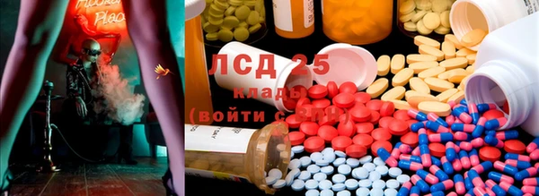 стаф Россошь
