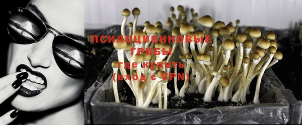 метадон Рославль