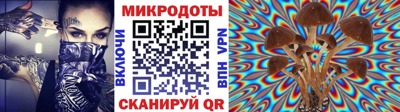 закладка  Бузулук  Галлюциногенные грибы мицелий 