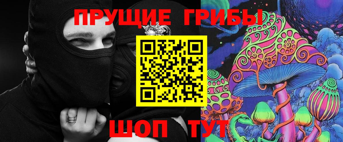 Псилоцибиновые грибы GOLDEN TEACHER  Вход с VPN  Галлюциногенные грибы Psilocybe  Бузулук 