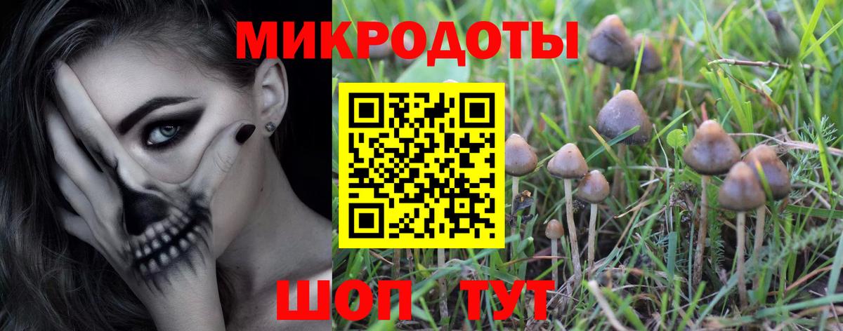 Галлюциногенные грибы Cubensis Бузулук